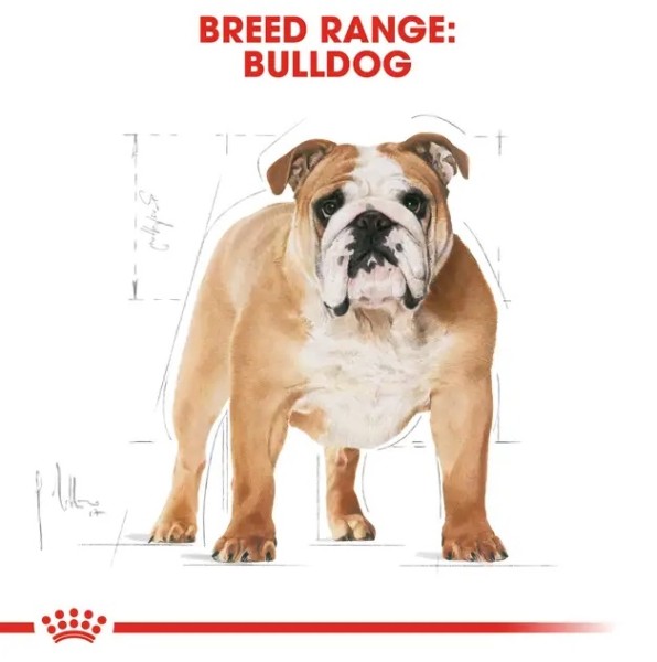 Royal Canin Bulldog Adult - Суха храна за кучета порода булдог в зряла възраст